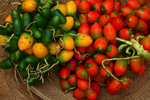 Tema